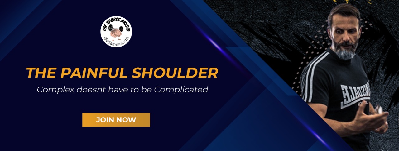 banner49.jpeg